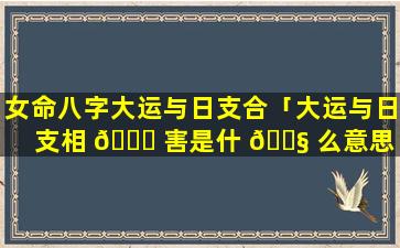 女命八字大运与日支合「大运与日支相 🐒 害是什 🐧 么意思」